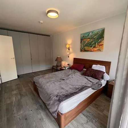 Apartment 3 Pieces Rue D'antibes *